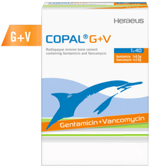 Copel-G+V